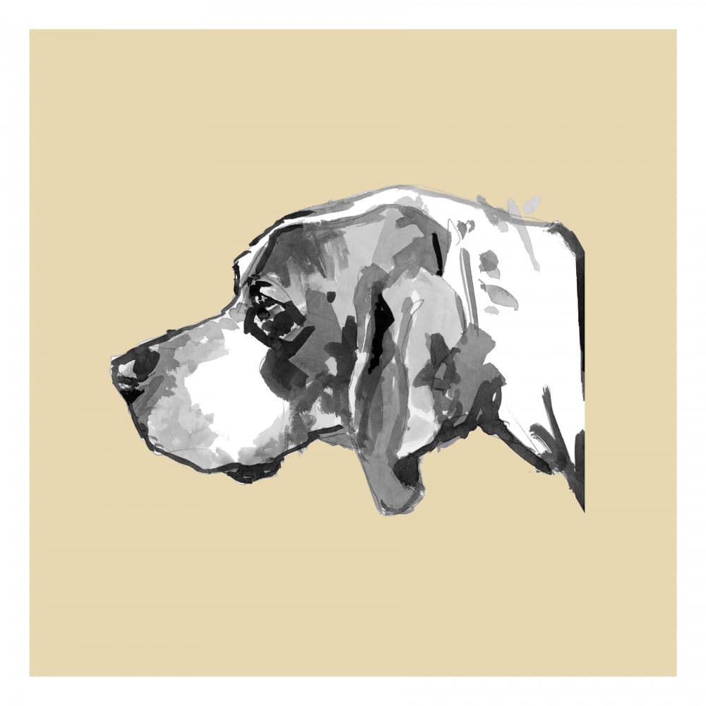 Elegant Dog Profile by cartissi — canvas wall art