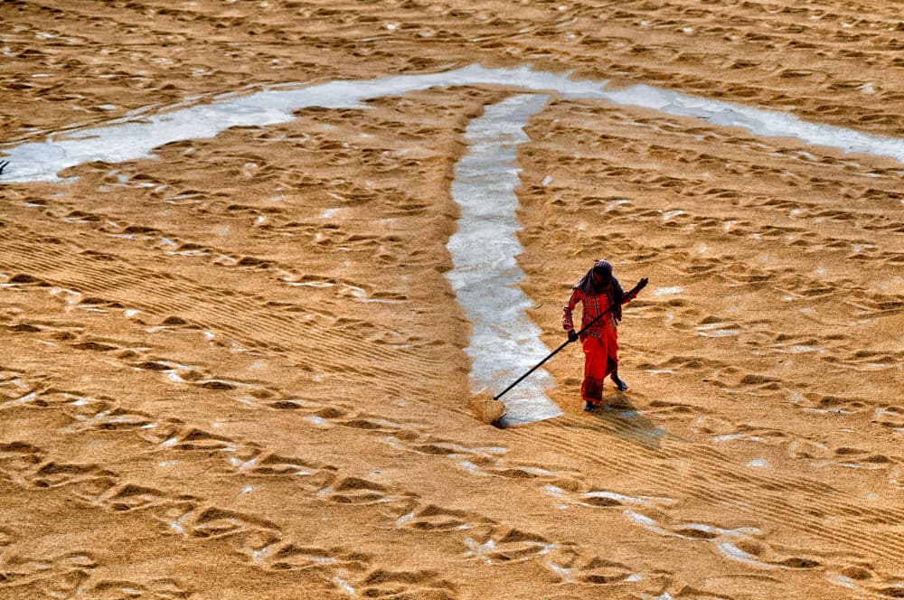 Sun Drying Golden Grain by Shaibal Nandi — canvas wall art