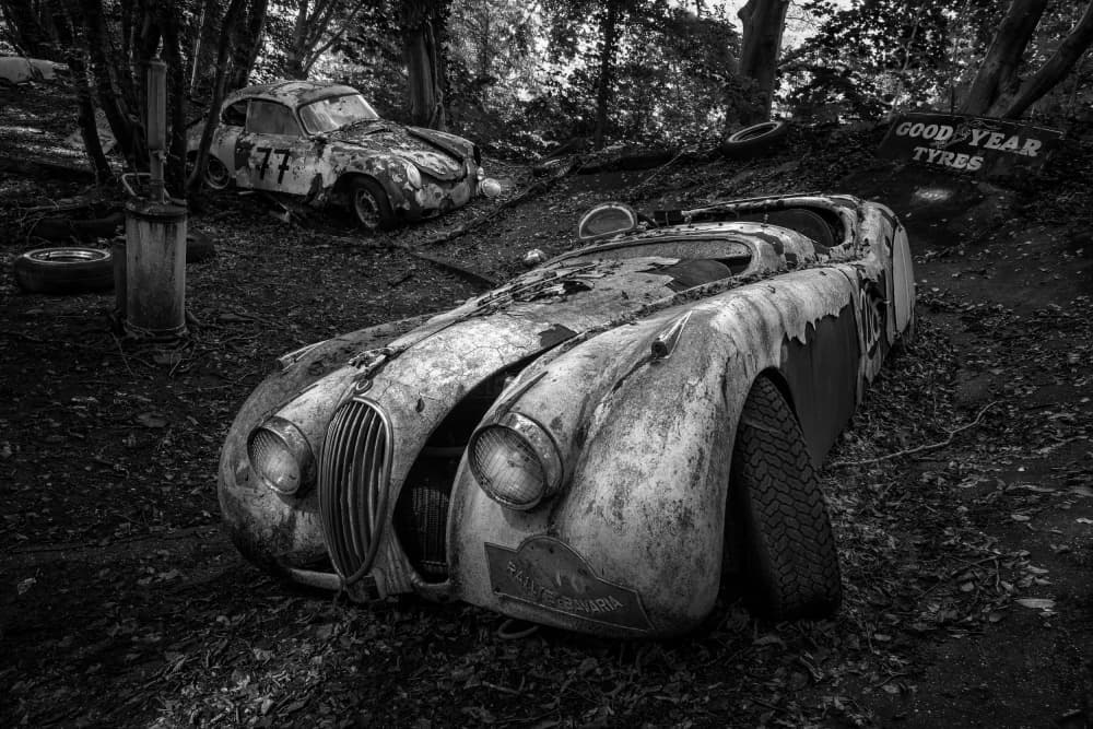 Forgotten Forest Racers by Adam Dauria ☂ — canvas wall art