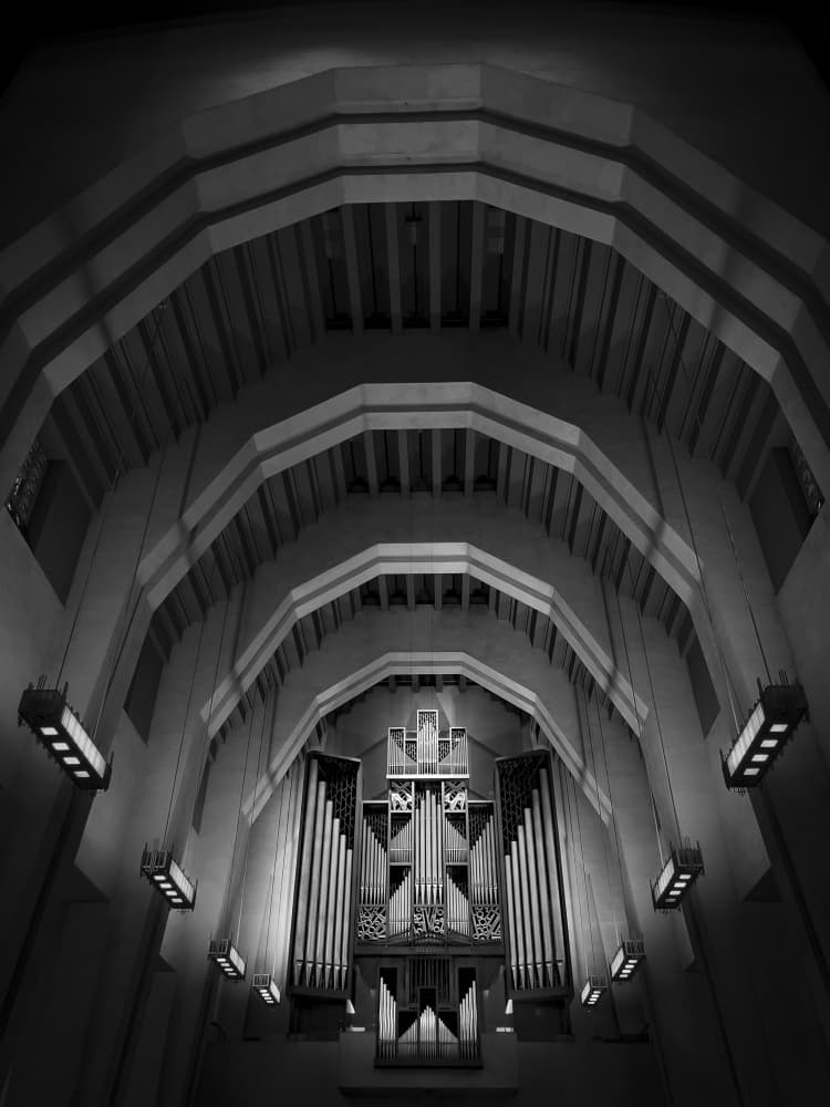 Sacred Organ Architecture by Sonya Liu — canvas wall art