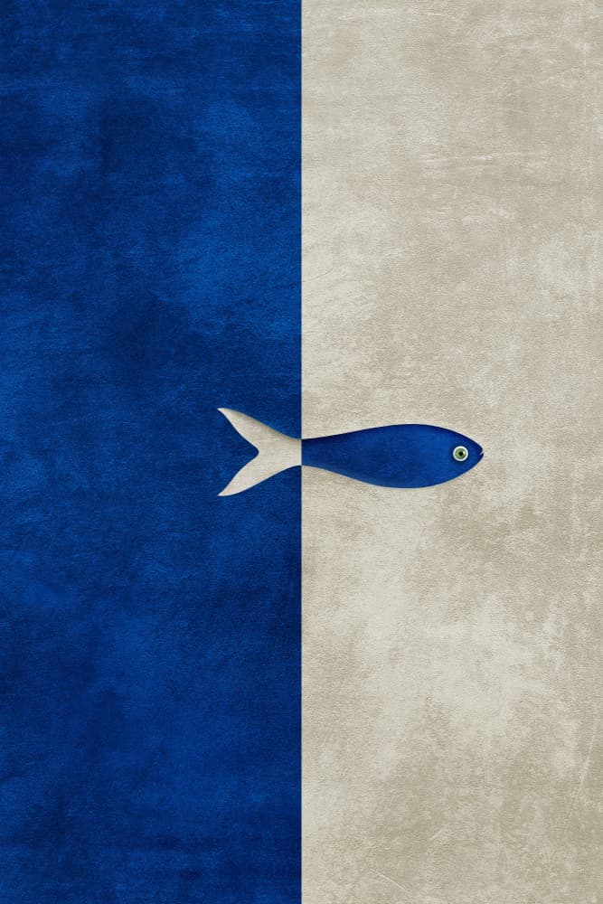 Split Blue Fish by Ema Paraschiv — canvas wall art