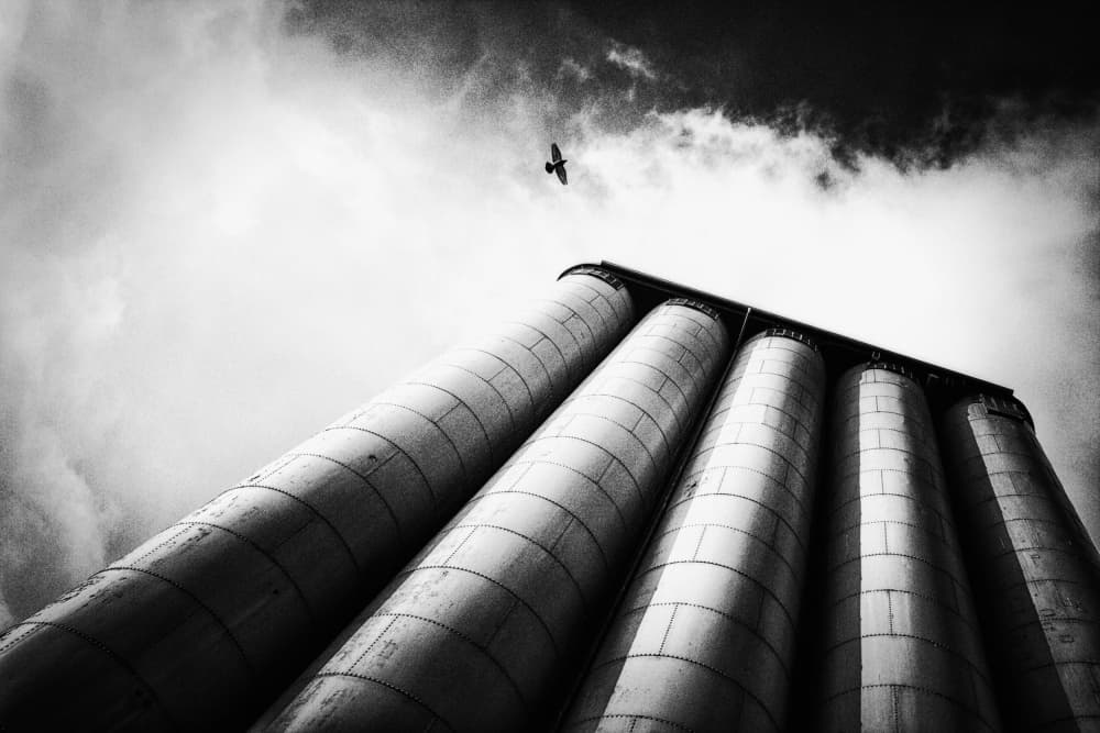 Industrial Silos Flying Bird by Holger Droste — canvas wall art