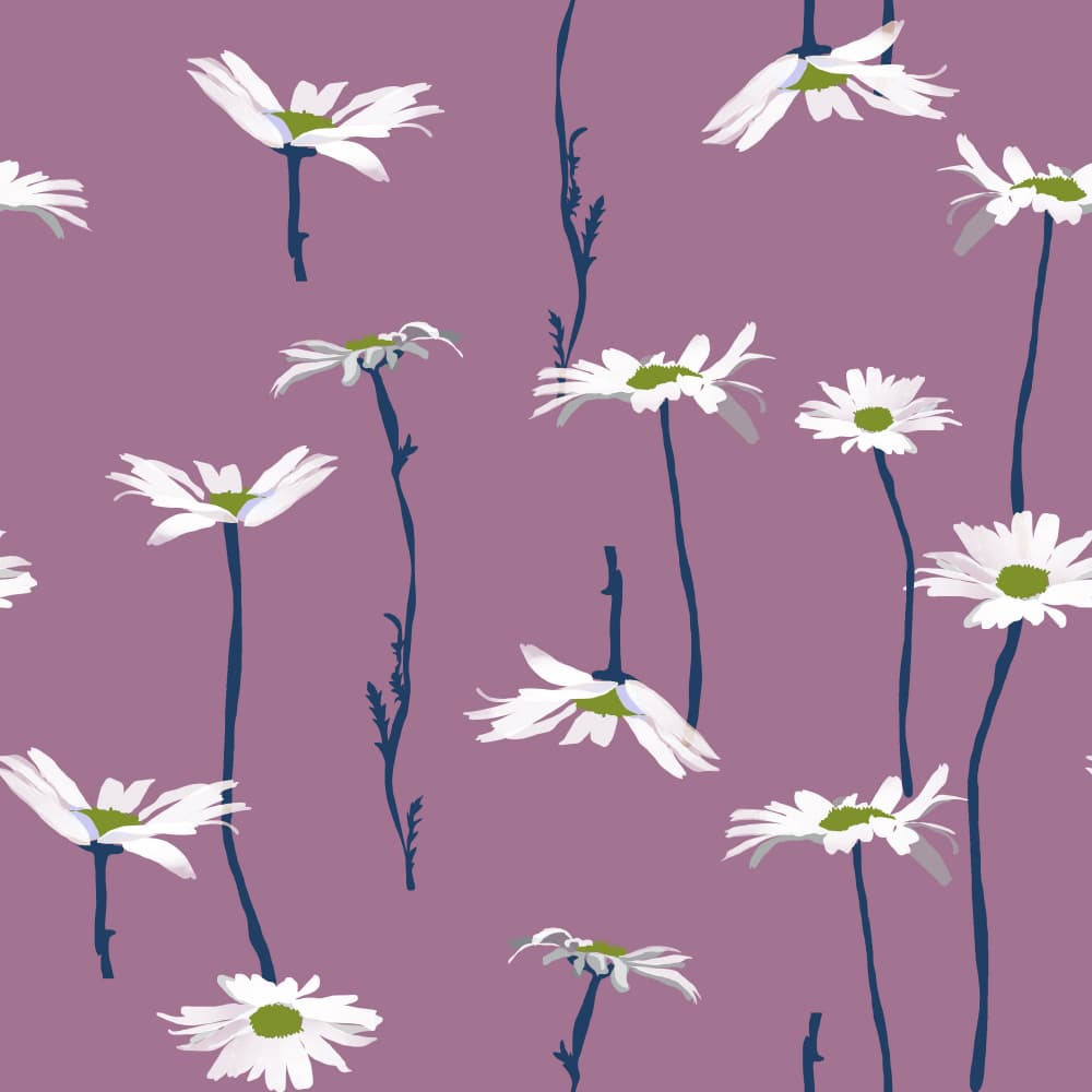 Purple Daisy Delight by Charlotte Trudgett — canvas wall art