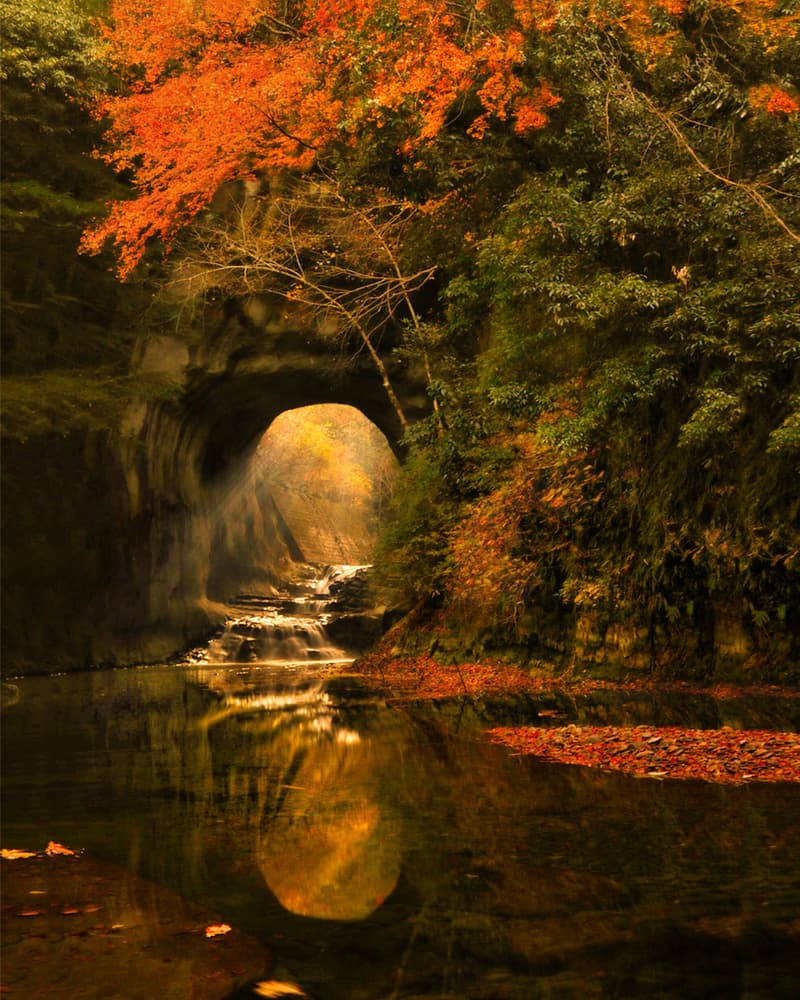 Autumn Light Tunnel Reflection by Makiko Samejima — canvas wall art