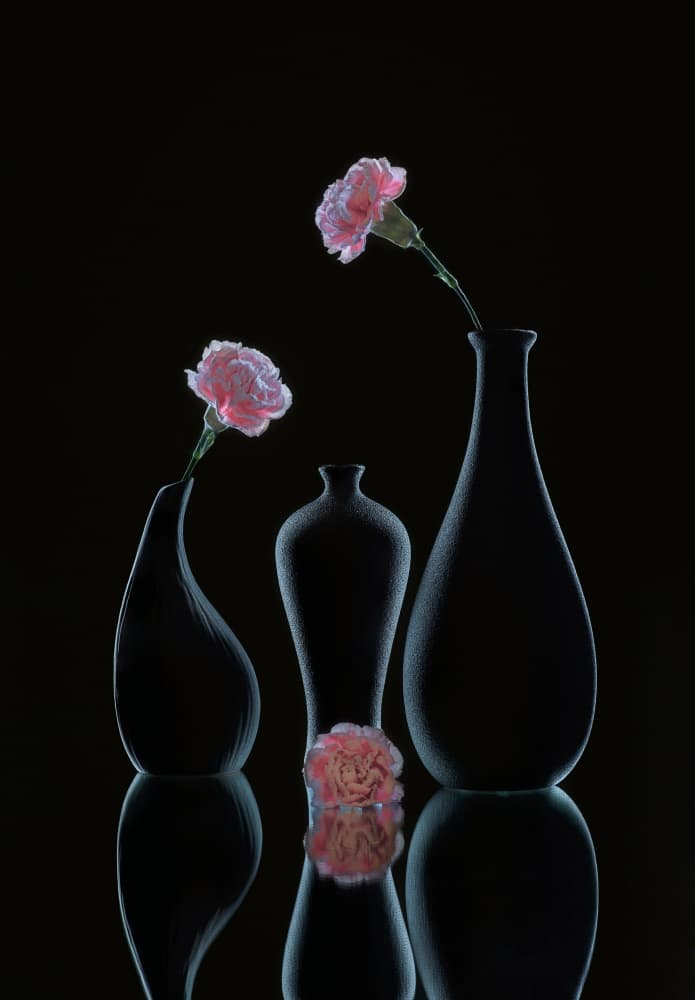 Sleek Floral Still Life by Alice Sheng — canvas wall art
