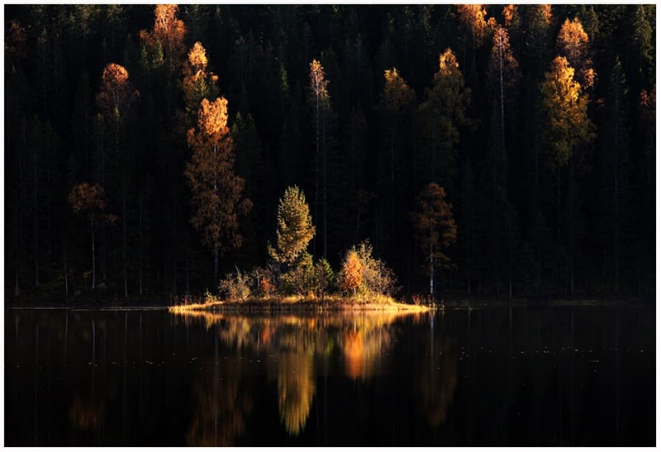 Golden Autumn Island by Bror Johansson — canvas wall art