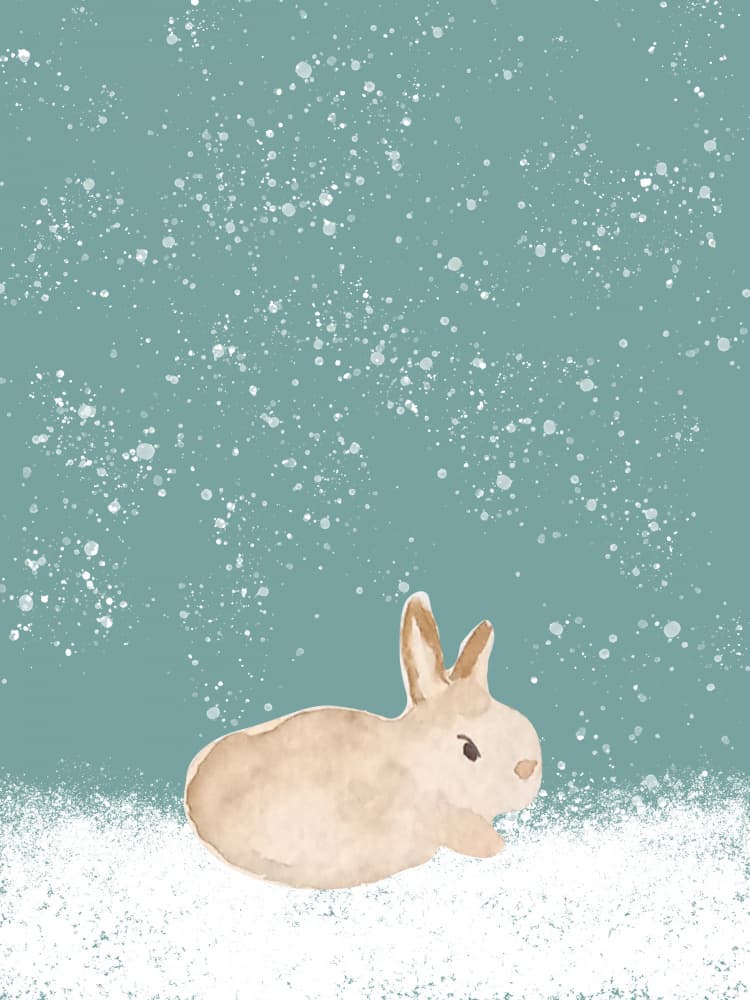 Peaceful Winter Bunny by Elizabeth C — canvas wall art