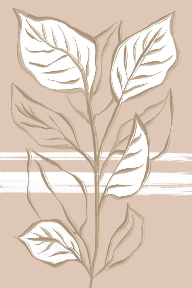 Neutral Botanical Lines by Martina — canvas wall art