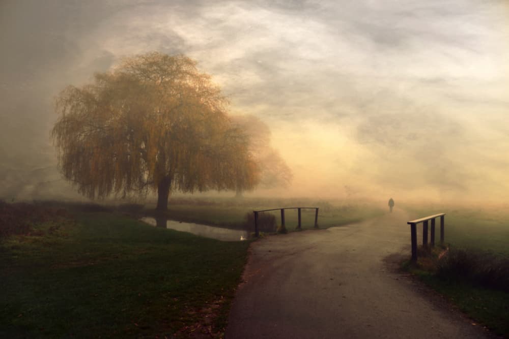 Misty Autumn Path by Robert Fabrowski — canvas wall art