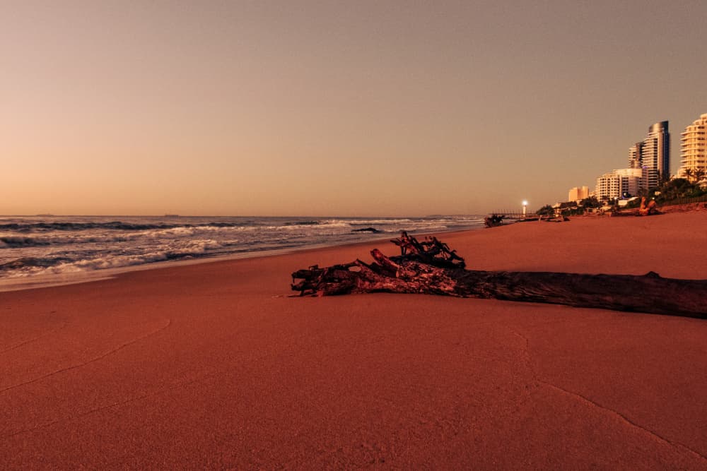 Golden Hour Coastal Beach by Dan Edwards — canvas wall art