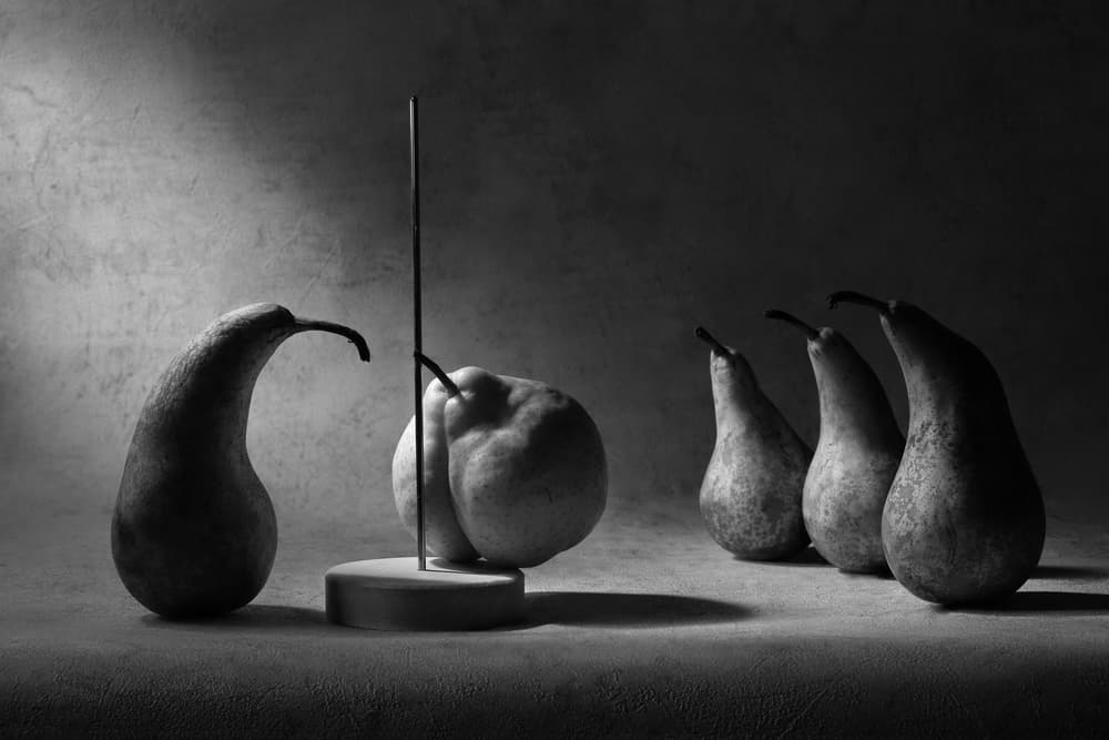 Pears and Reflection by Victoria Glinka — canvas wall art