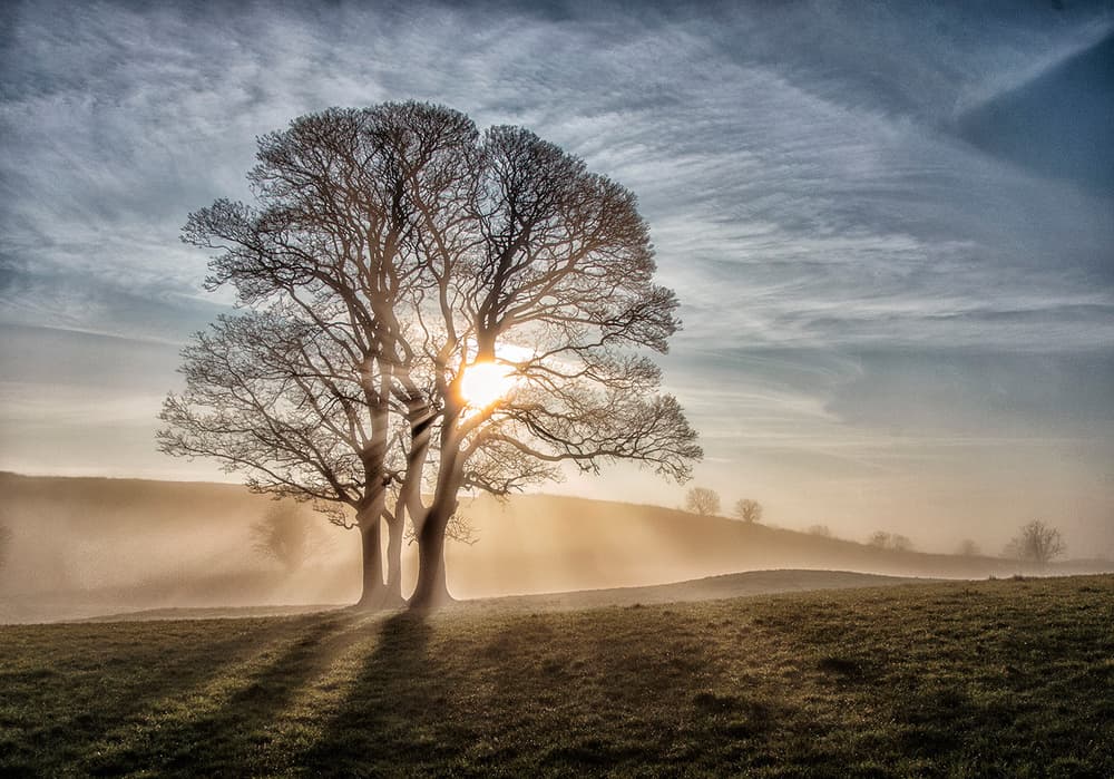 Sun Through Morning Mist by Hugh Wilkinson — canvas wall art