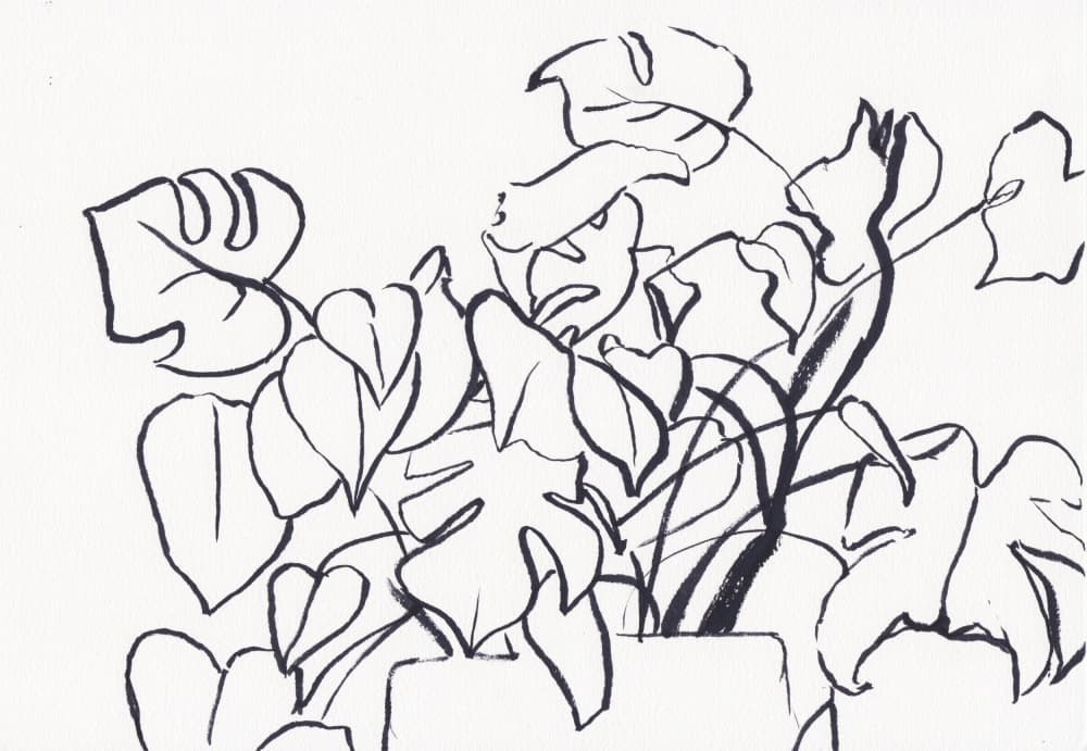 Monstera Plant Drawing by Christine Lindstrom — canvas wall art