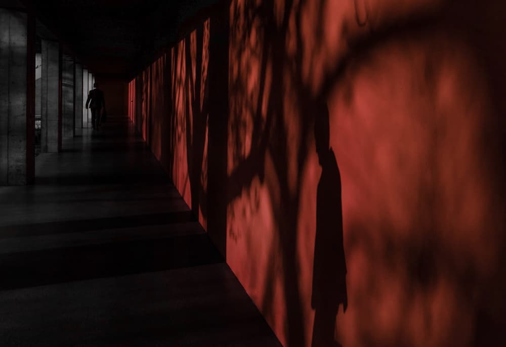 Red Corridor Figure by WalkTheCamera — canvas wall art