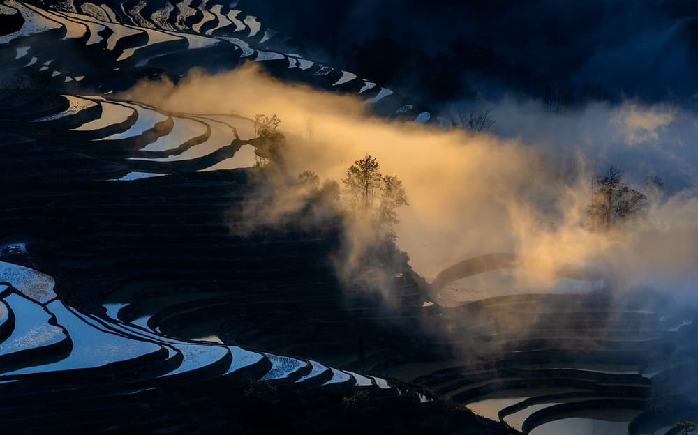 Golden Misty Terraces by Hua Zhu — canvas wall art
