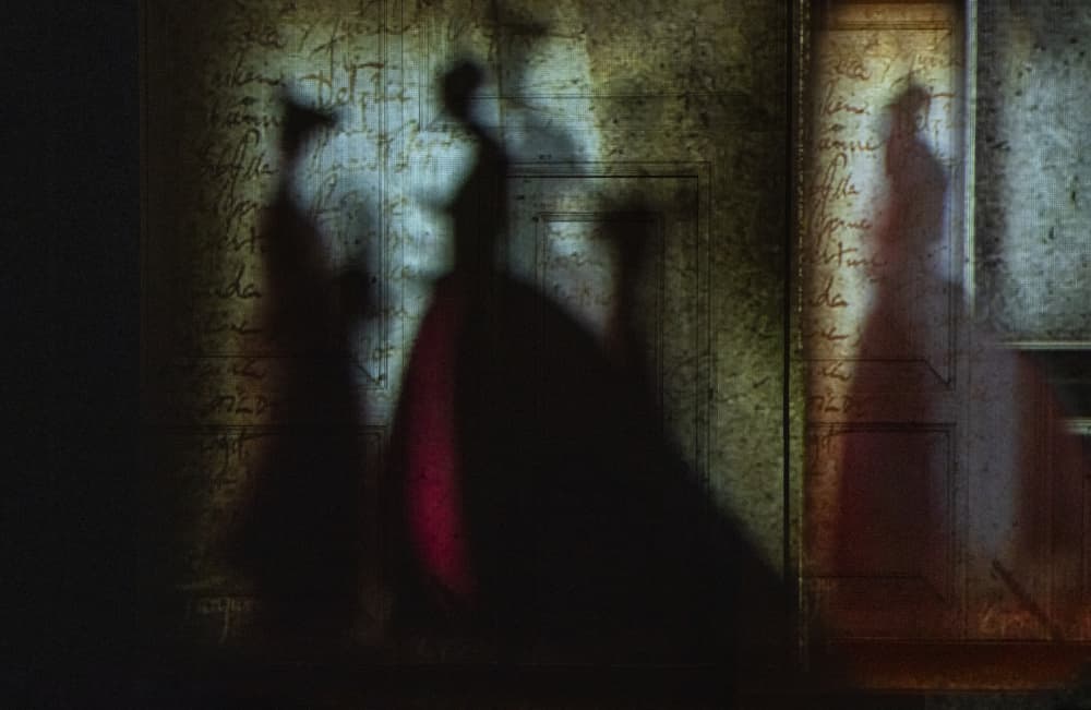 Elegant Shadow Dance by Rachel Pansky — canvas wall art