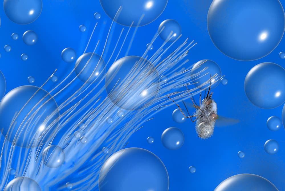 Dreamy Blue Bee Fly by Thierry Dufour — canvas wall art