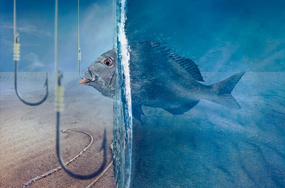 Fish Faces Temptation by Sulaiman Almawash — canvas wall art