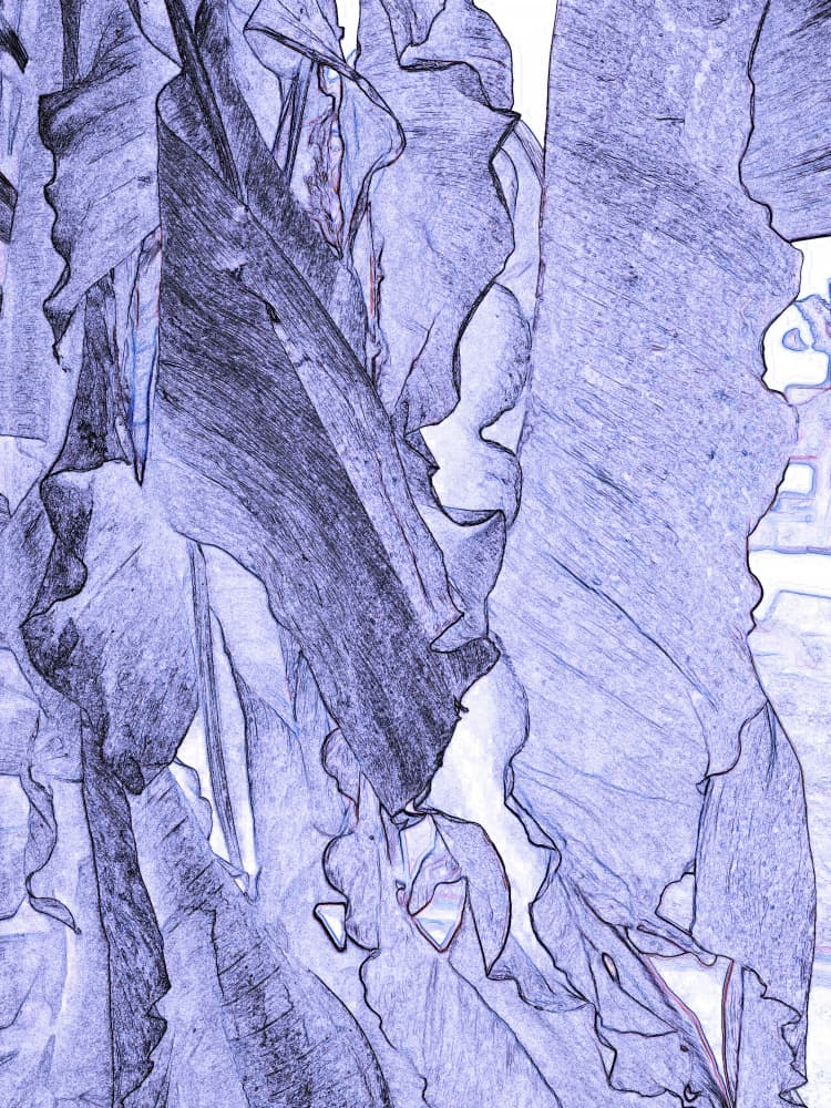 Ethereal Violet Leaves by Santhosh ch — canvas wall art