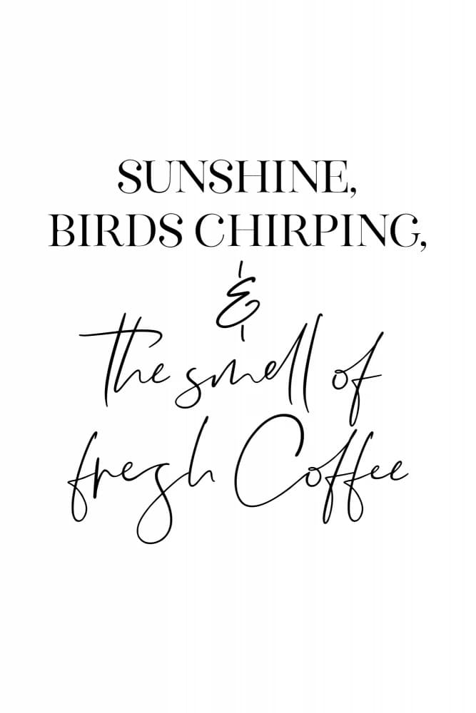 Sunshine Birds Coffee by Rosana Laiz Blursbyai — canvas wall art