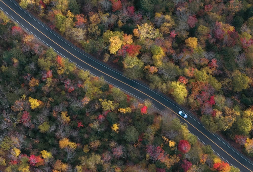 Vibrant Autumn Road by Aidong Ning — canvas wall art