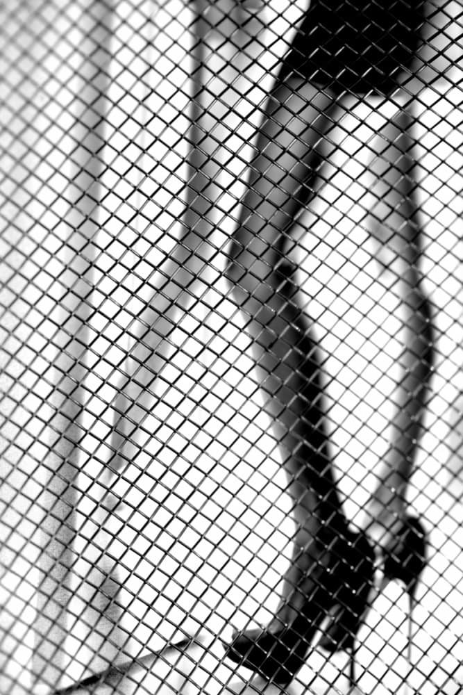 Alluring Legs Behind Mesh by Erik Schottstaedt — canvas wall art