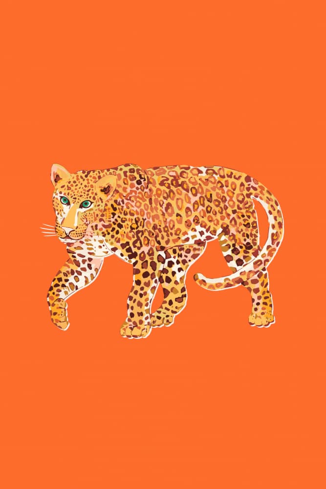 Orange Leopard Stroll by Karen Menzenbach — canvas wall art