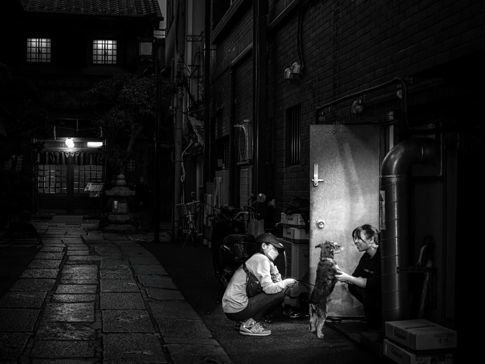 Night Alley Dog Moment by Yuzo Fujii — canvas wall art