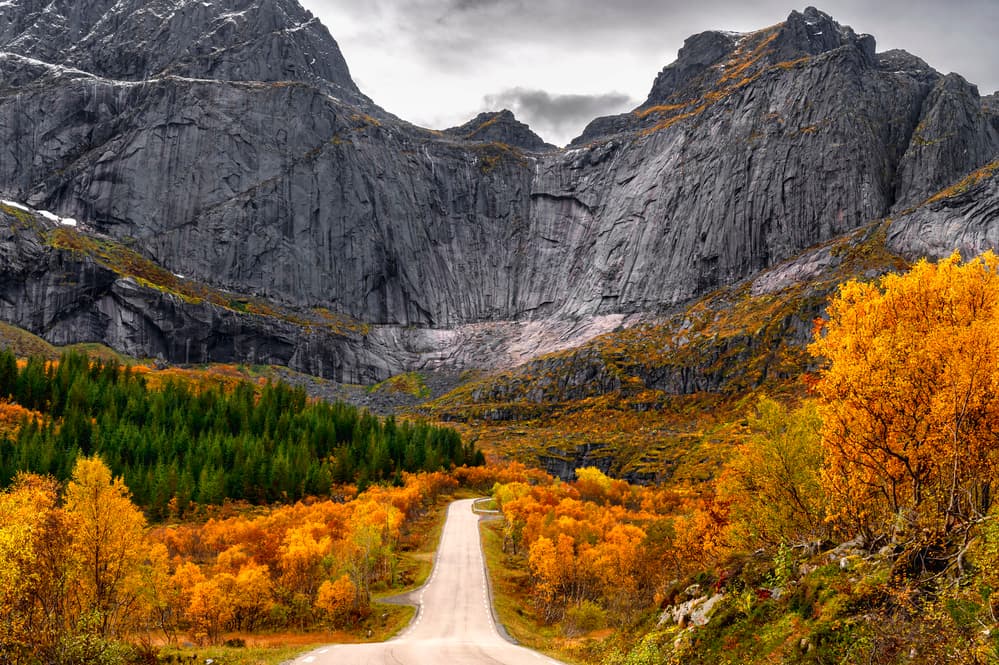 Scenic Autumn Mountain Road by Łukasz Winiarski — canvas wall art