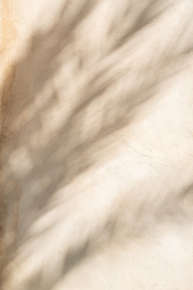 Soft Palm Shadows by Henrike Schenk — canvas wall art