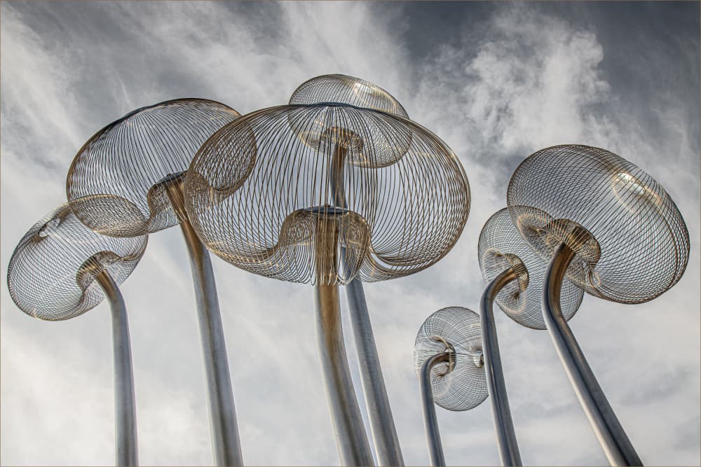 Skybound Metallic Mushrooms by Gilbert Claes — canvas wall art