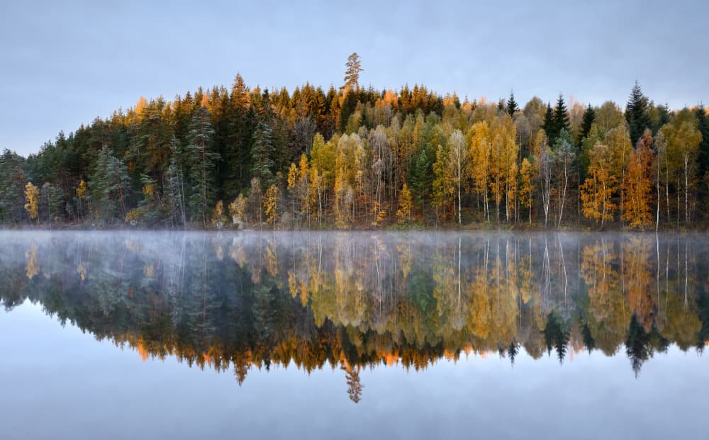 Misty Autumn Lake Reflections by Keller — canvas wall art