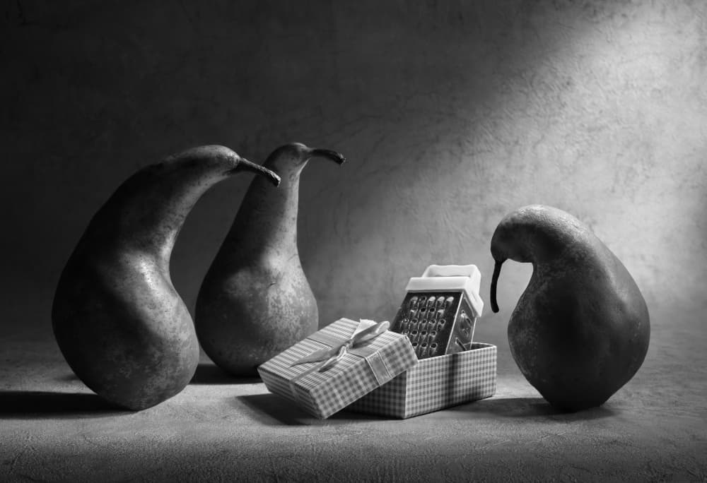 Curious Pears Grater by Victoria  Glinka — canvas wall art