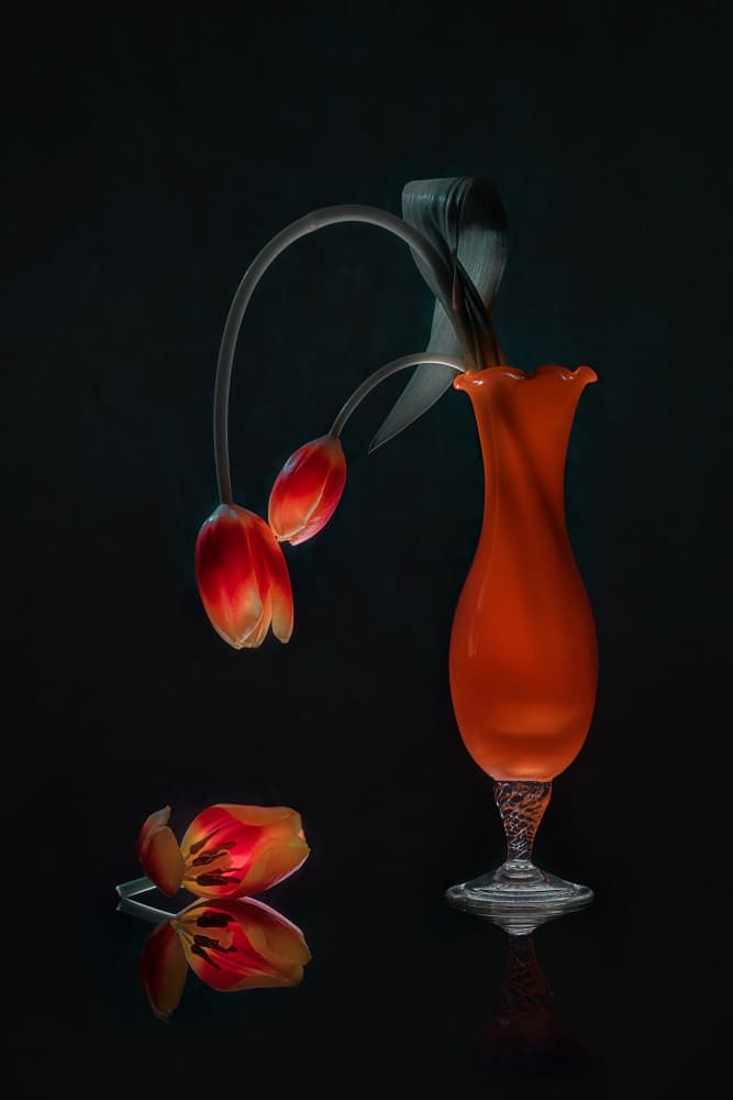 Glowing Tulips Still Life by Lydia Jacobs — canvas wall art