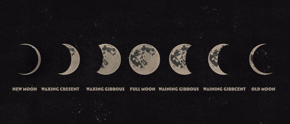 Lunar Phases Progression by Nicholas — canvas wall art