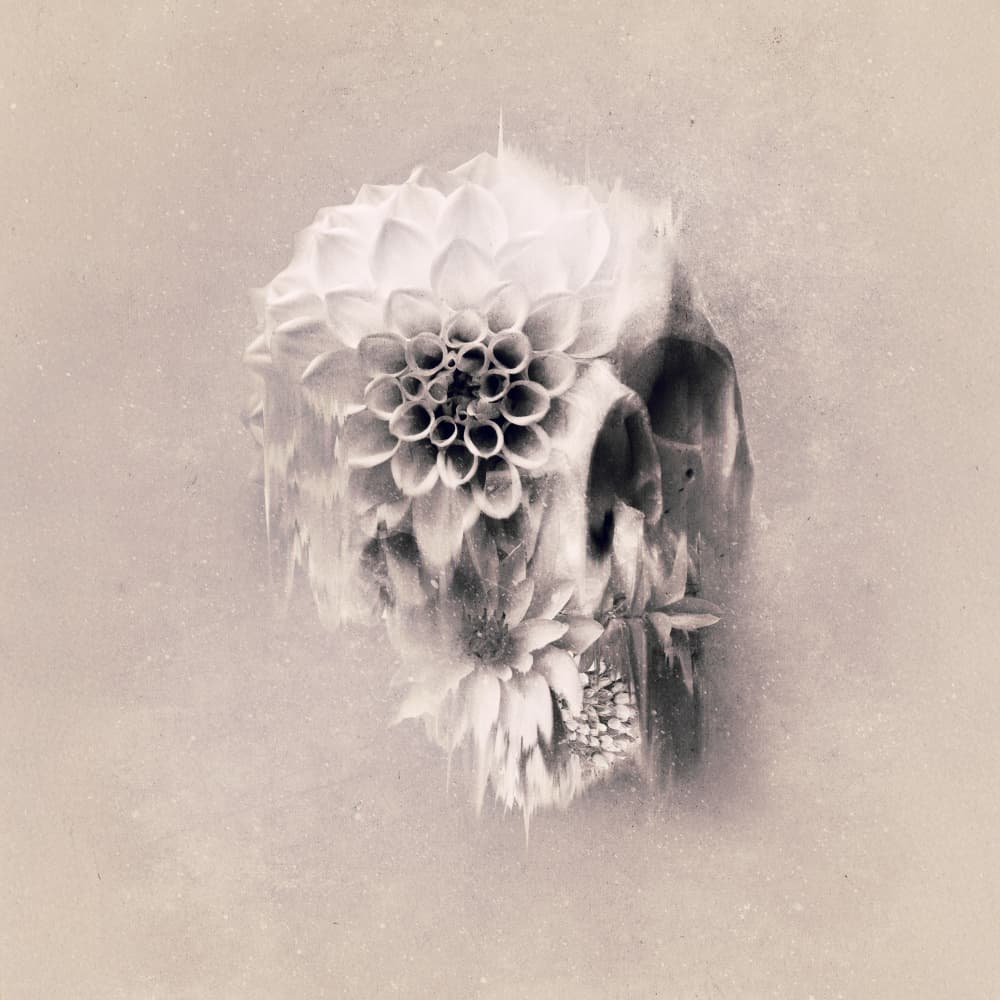 Ethereal Floral Skull by Ali Gulec — canvas wall art