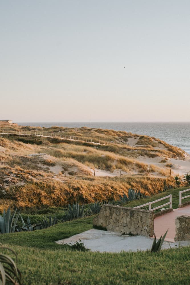 Golden Hour Coastal Dunes by Claudia Casal — canvas wall art