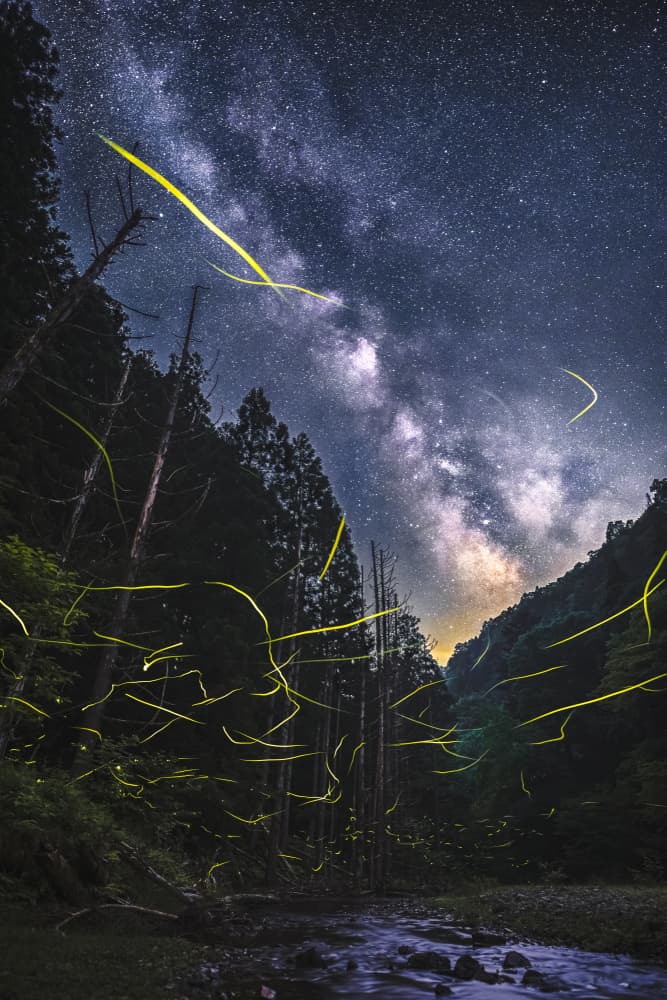 Milky Way Firefly Night by Hiroaki Ikeshita — canvas wall art