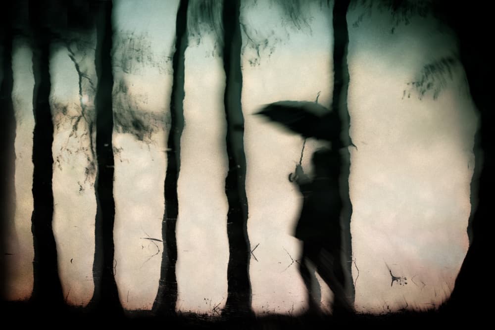 Rainy Day Silhouette by Hilde Ghesquiere — canvas wall art