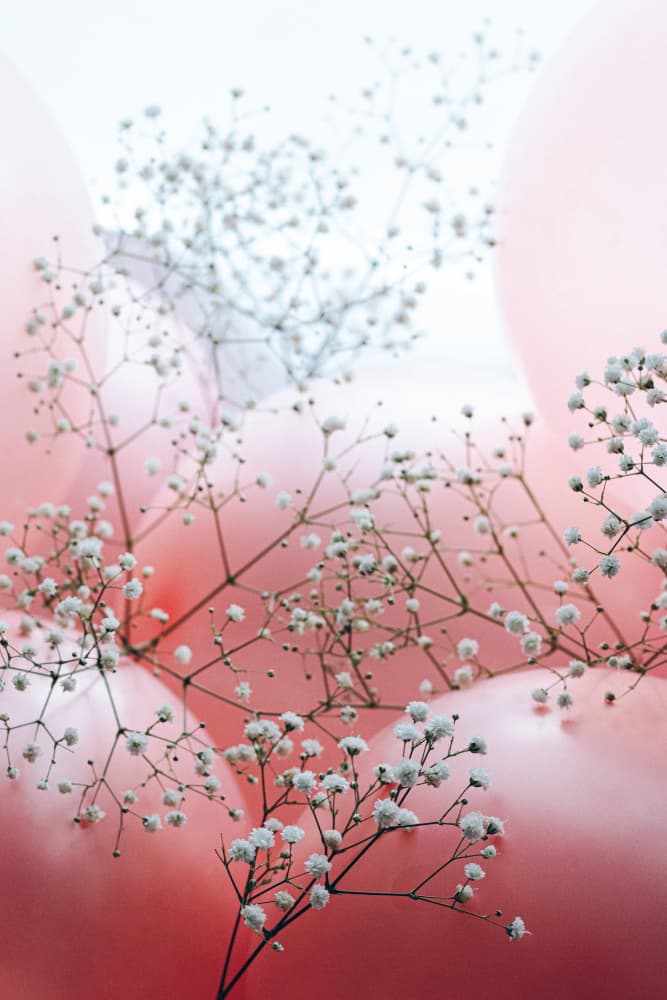 Delicate Blooms and Pink Balloons by uplusmestudio — canvas wall art