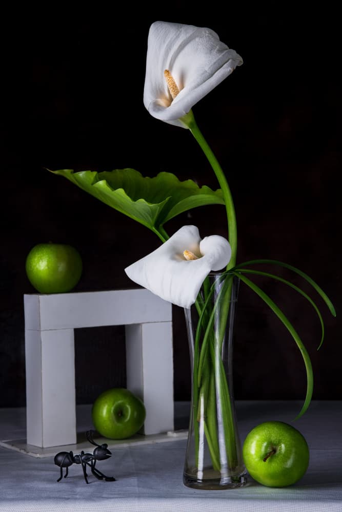 Calla Lilies Green Apples by Felice Angelino — canvas wall art