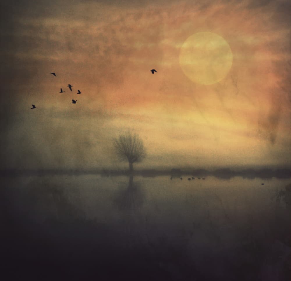 Tranquil Sunset Lake by Robert Fabrowski — canvas wall art
