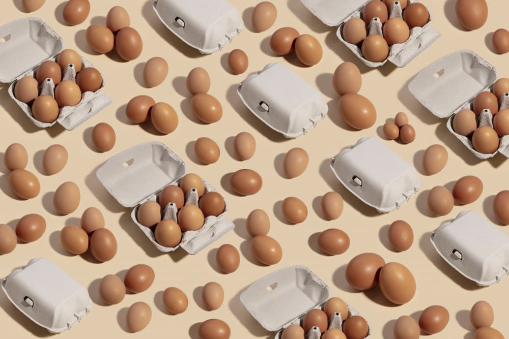 Brown Eggs Pattern by Julia Ramiro — canvas wall art