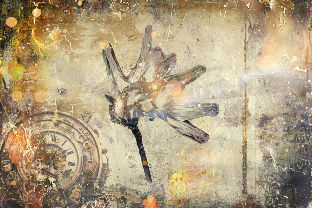 Timeless Dried Flower by Rafal Kulik — canvas wall art