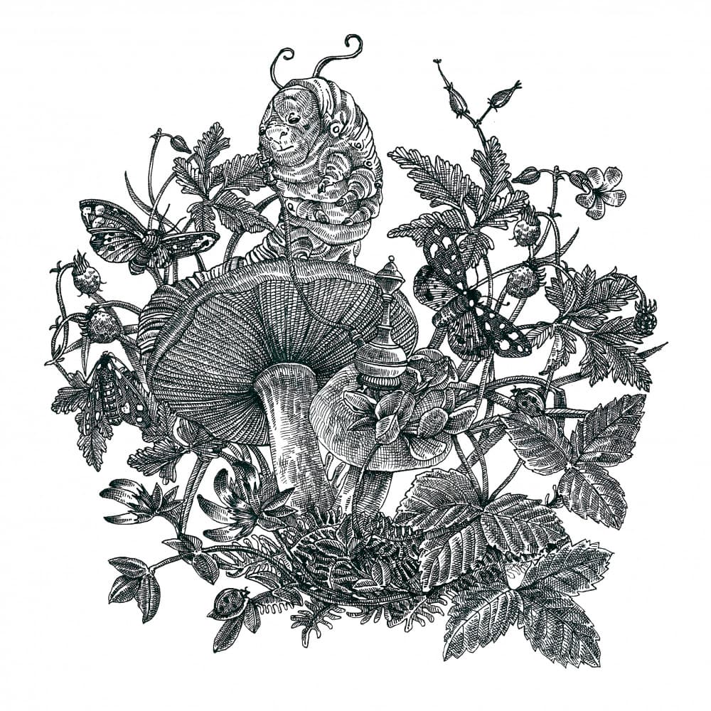 Whimsical Caterpillar Mushroom