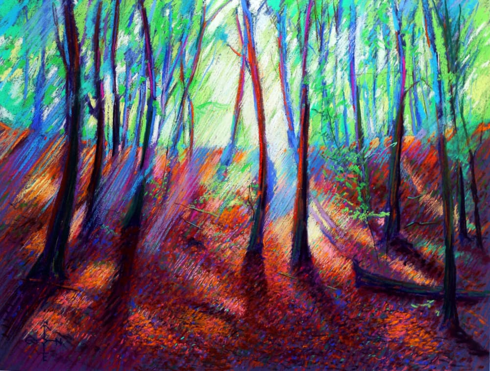 Vibrant Forest Light by Corné Akkers — canvas wall art