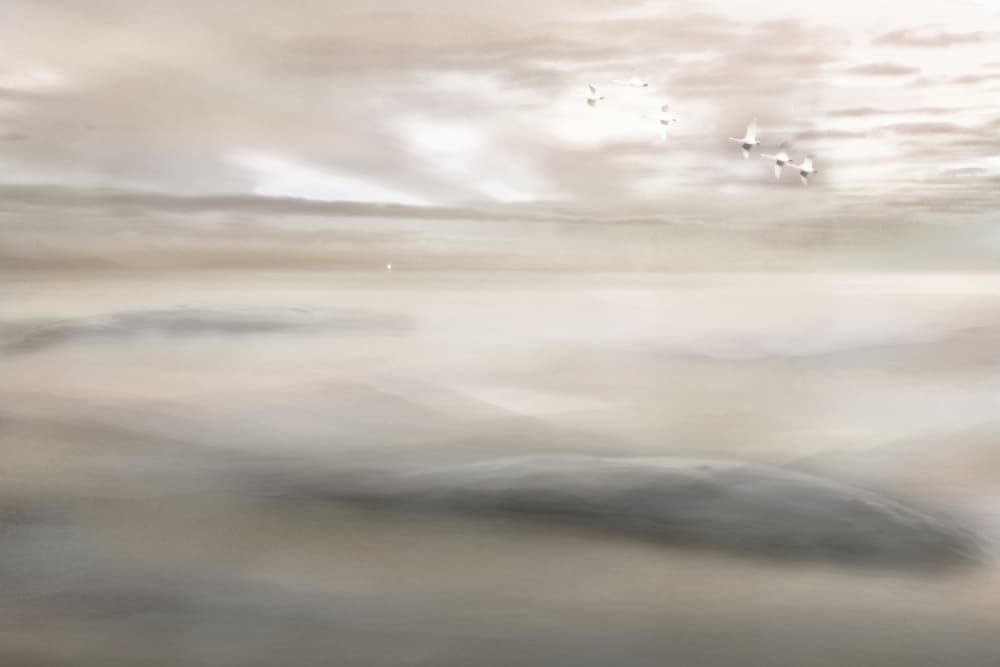 Swan Song To The Mist by Christina Sillen — canvas wall art