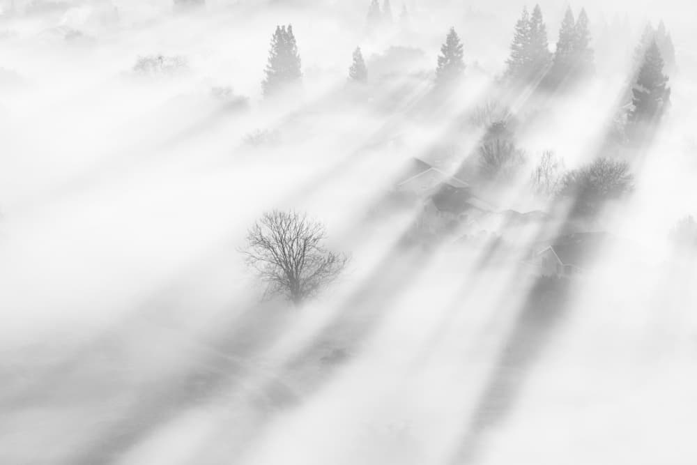 Dramatic Fog Rays by Joan Zhang — canvas wall art