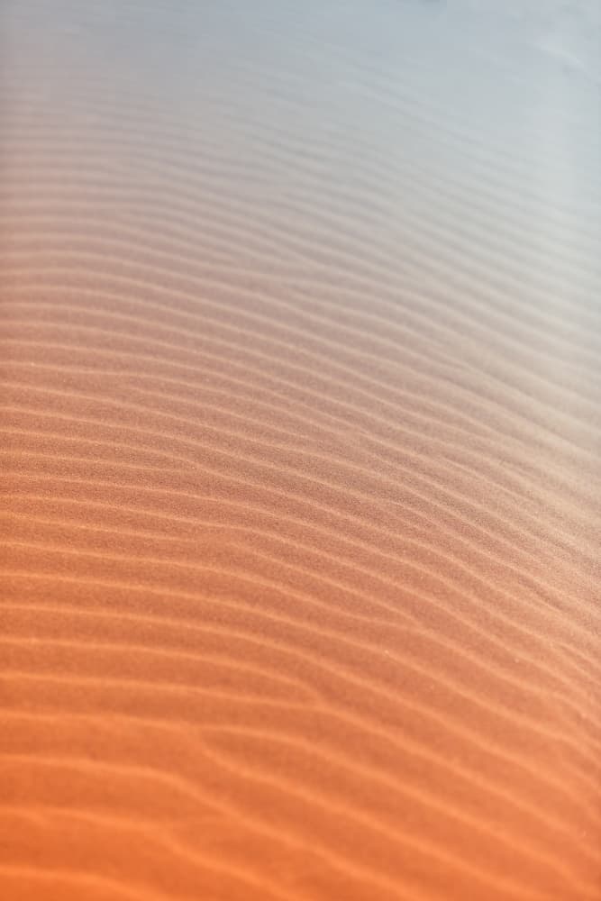 Warm Desert Ripples by Javier Pardina — canvas wall art