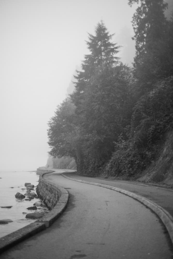 Misty Coastal Road by Lynann Colligan — canvas wall art
